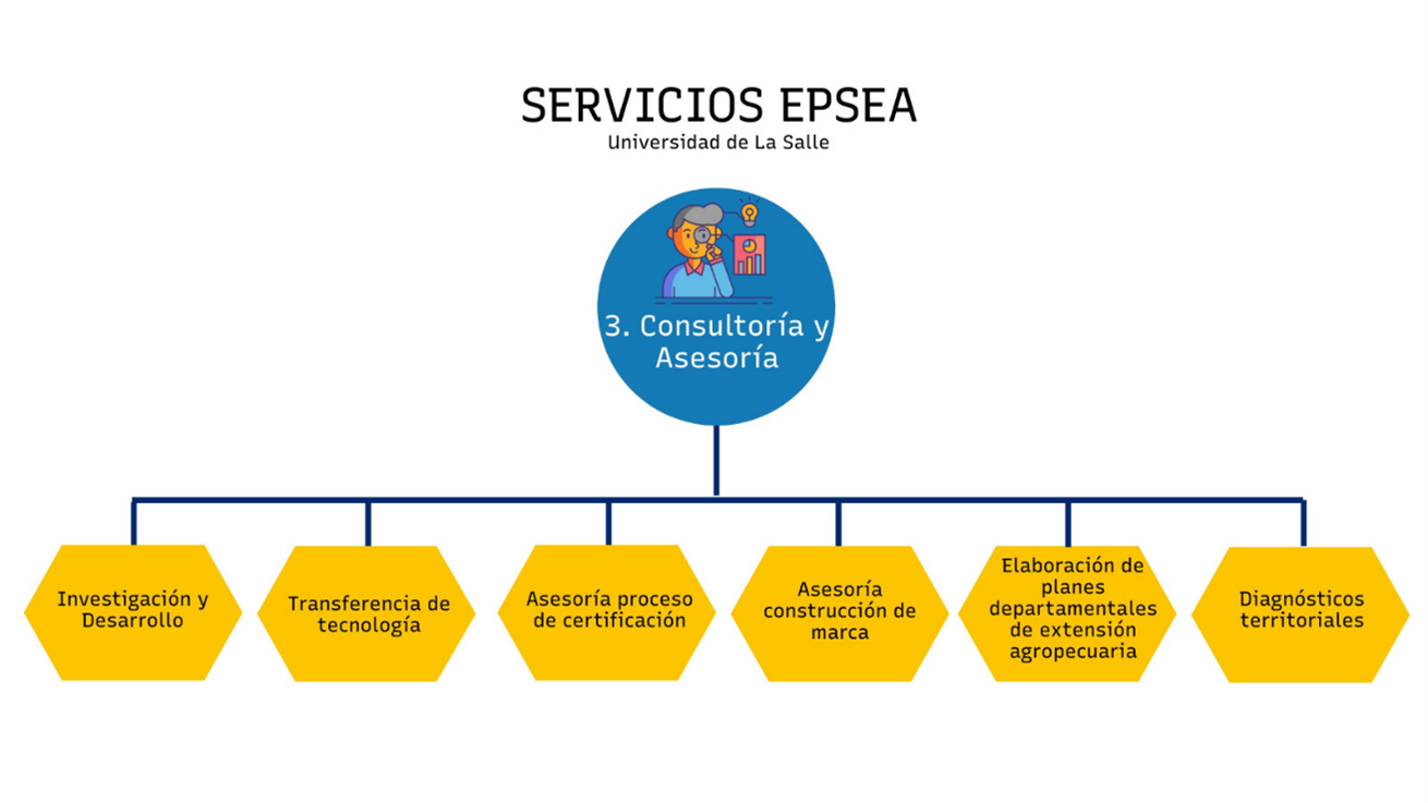 grafico de consultoria